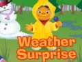 Žaidimas Weather Surprise