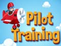 Žaidimas Pilot Training