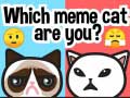 Žaidimas Which Meme Cat Are You?