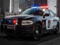 Žaidimas Police Cars Slide