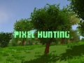 Žaidimas Pixel Hunting