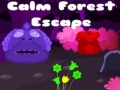 Žaidimas Calm Forest Escape