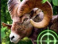 Žaidimas Crazy Goat Hunter 2020