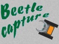 Žaidimas Beetle Capture