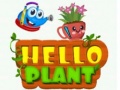 Žaidimas Hello Plant 