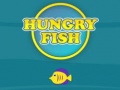 Žaidimas Hungry Fish
