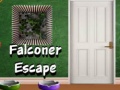 Žaidimas Falconer Escape