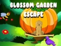 Žaidimas Blossom Garden Escape