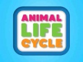 Žaidimas Animal Life Cycle