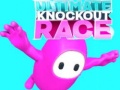 Žaidimas Ultimate Knockout Race