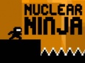 Žaidimas Nuclear Ninja