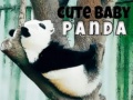 Žaidimas Cute Baby Panda