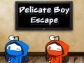 Žaidimas Delicate Boy Escape