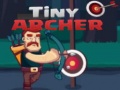 Žaidimas Tiny Archer