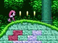 Žaidimas Mighty & Ray In Sonic 2