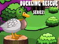 Žaidimas Duckling Rescue Series1