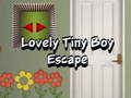 Žaidimas Lovely Tiny Boy Escape