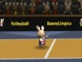 Žaidimas Bunny volleyball