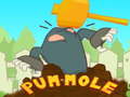 Žaidimas Pum-Mole