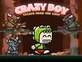 Žaidimas Crazy Boy Escape From The Cave