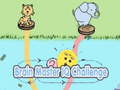 Žaidimas Brain Master IQ Challenge