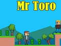 Žaidimas Mr Toro