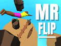 Žaidimas Mr Flip
