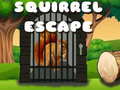Žaidimas Squirrel Escape