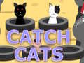 Žaidimas Catch Cats