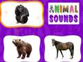 Žaidimas Animal Sounds