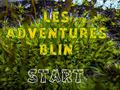 Žaidimas Les Adventures Blin