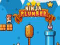 Žaidimas Ninja Plumber