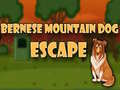 Žaidimas Bernese Mountain Dog Escape