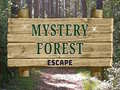 Žaidimas Mystery Forest