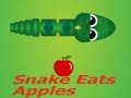 Žaidimas Snake Eats Apple