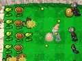 Žaidimas Plants Vs Zombies DS