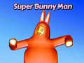 Žaidimas Super Bunny Man