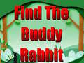 Žaidimas Find The Buddy Rabbit