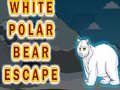 Žaidimas White Polar Bear Escape