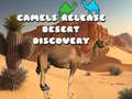 Žaidimas Camels Release Desert Discovery
