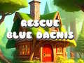 Žaidimas Rescue Blue Dacnis