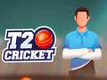Žaidimas T20 Cricket