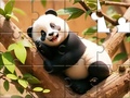 Žaidimas Jigsaw Puzzle: Panda On Tree