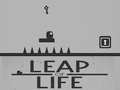 Žaidimas Leap of Life