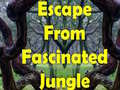 Žaidimas Escape From Fascinated Jungle