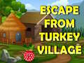 Žaidimas Escape From Turkey Village