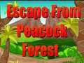 Žaidimas Escape From Peacock Forest