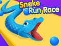 Žaidimas Snake Run Race
