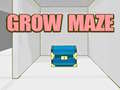 Žaidimas Grow Maze