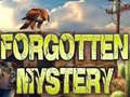 Žaidimas Forgotten Mystery